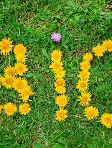 BIO POUR TOUS - Visite d'une brasserie Bio