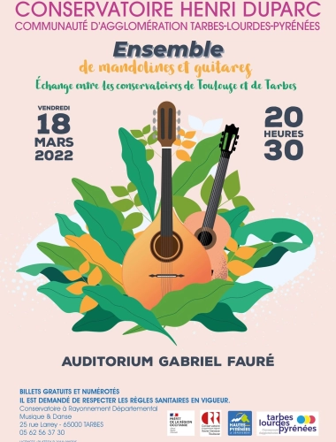 Ensemble de mandolines et guitares