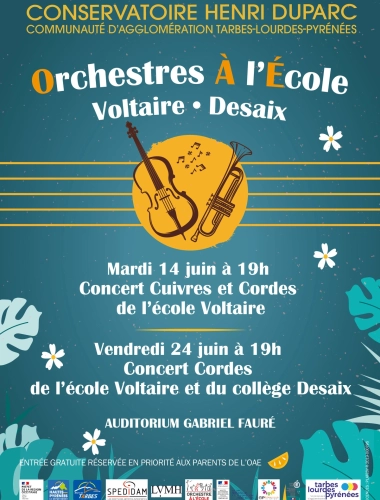 Orchestre A l'Ecole Voltaire - Desaix • Cuivres et Cordes