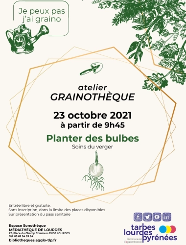 Atelier Grainothèque - Planter des bulbes