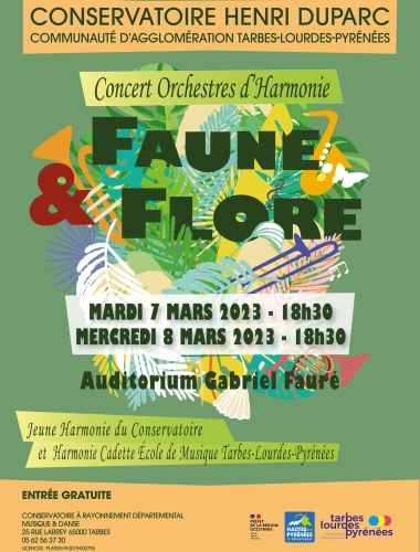 Concert Orchestres d'Harmonie
