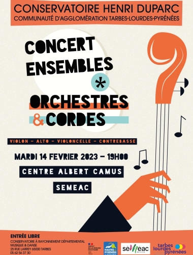 Concert Ensembles Orchestres & Cordes