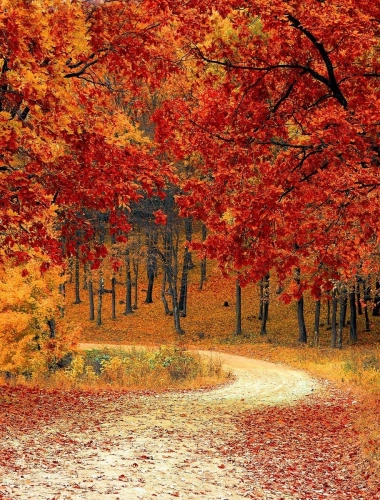 Evénement des partenaires