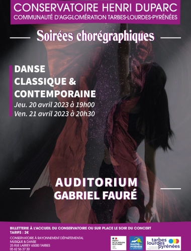 Soirées chorégraphiques - Danse classique & contemporaine