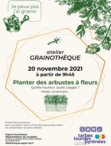 Atelier Grainothèque - Planter des arbustes à fleurs