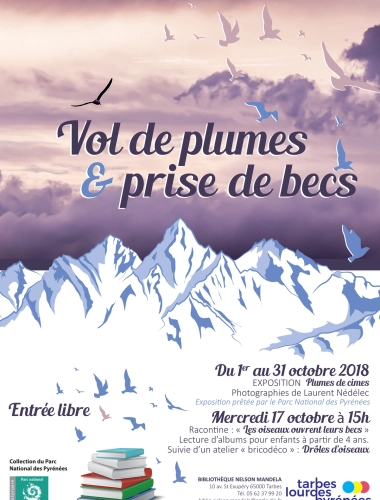 Vol de plumes et prise de becs