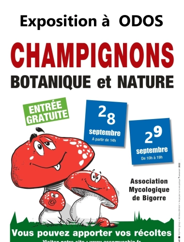 Exposition mycologique