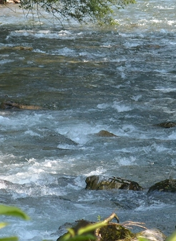 Travaux assainissement - Aureilhan