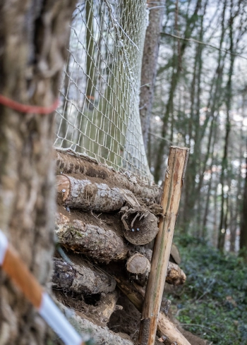 Travaux de sécurisation des pistes de descente de VTT du Pic du Jer