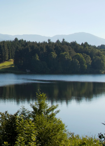 Travaux de sécurisation des espaces boisés du lac de Lourdes