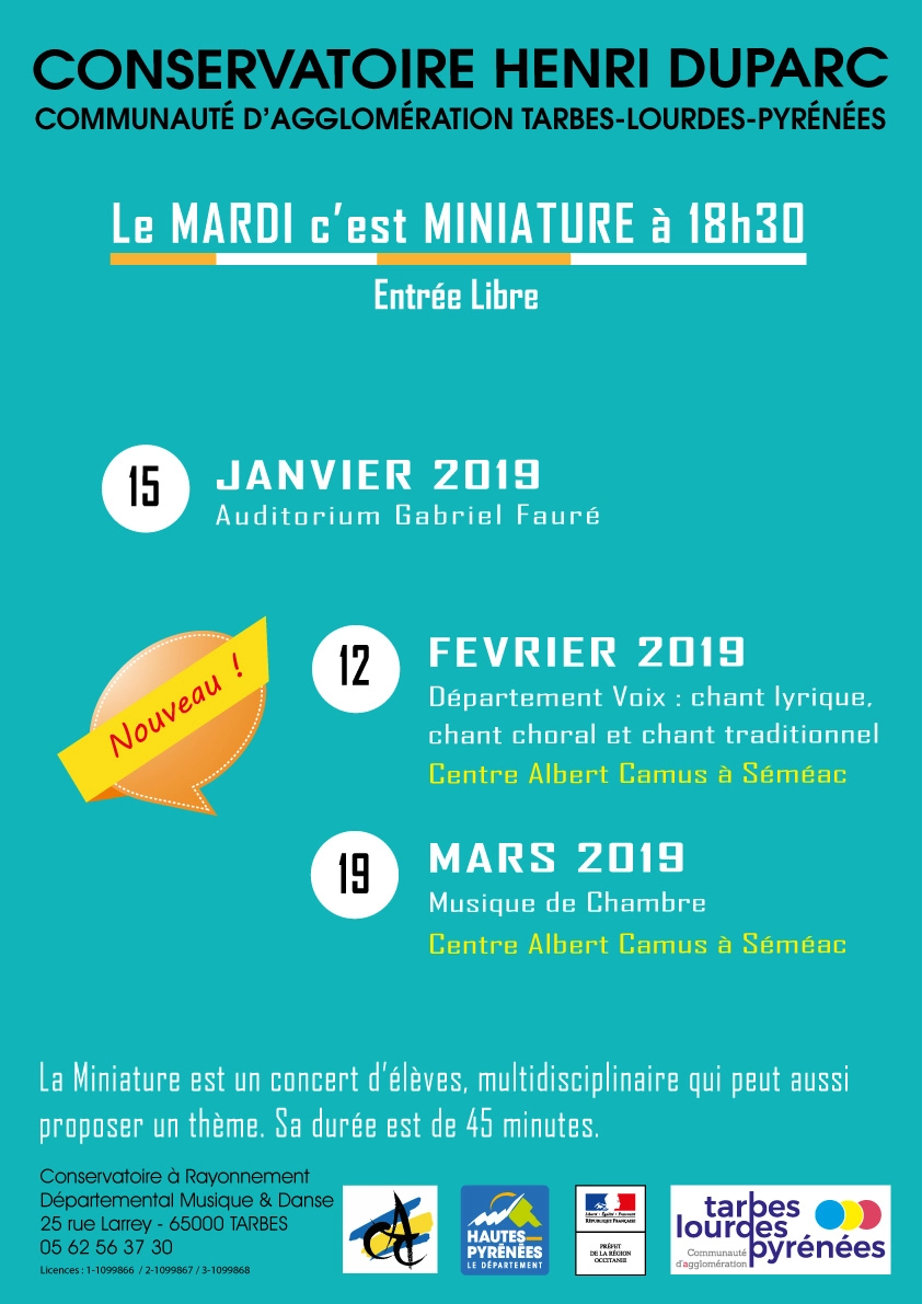 Miniature-Concert